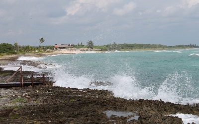 Coral Beach